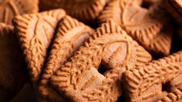 SPECULOOS